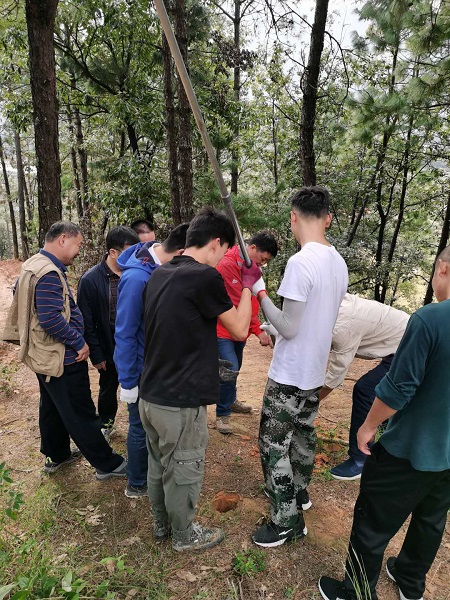 技术人员齐上阵